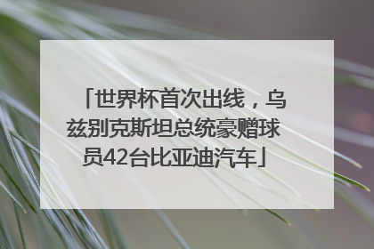 世界杯首次出线，乌兹别克斯坦总统豪赠球员42台比亚迪汽车